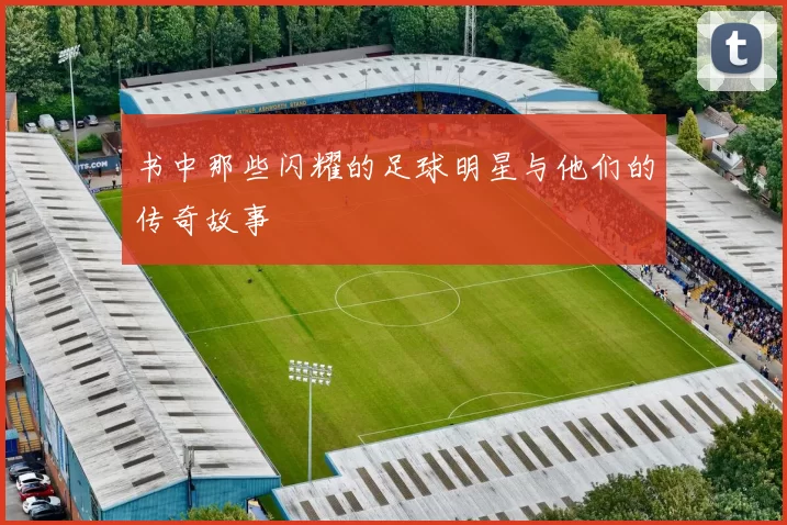 书中那些闪耀的足球明星与他们的传奇故事