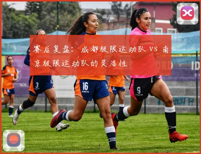 赛后复盘：成都极限运动队 vs 南京极限运动队的灵活性